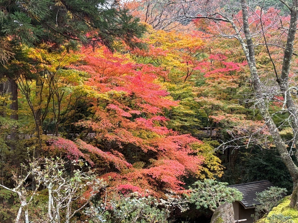 旅する〇〇さんが投稿した白龍園に関する口コミの画像