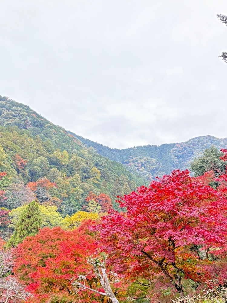 旅する〇〇さんが投稿した白龍園に関する口コミの画像