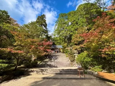 仁比山神社の桜