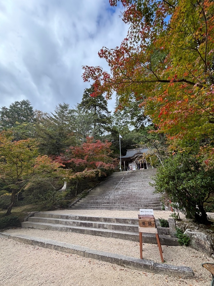 luckyさんが投稿した仁比山神社の桜に関する口コミの画像