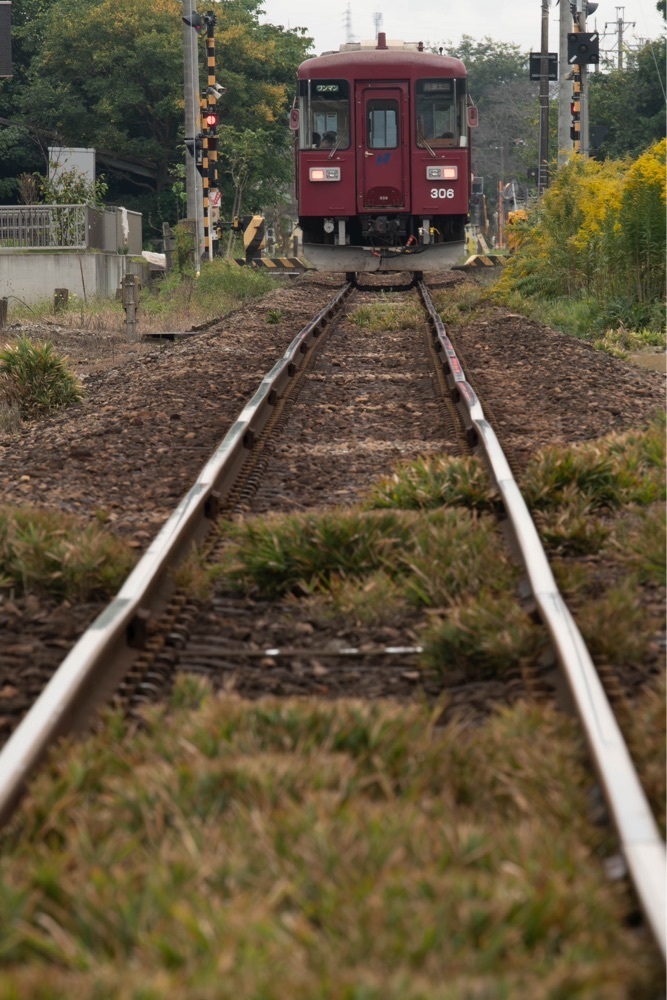 佳さんが投稿した長良川鉄道株式会社に関する口コミの画像