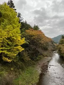 石舟橋 1枚目