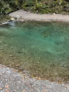 秋川国際マス釣場