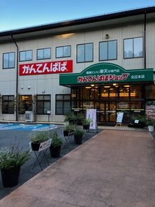施設画像