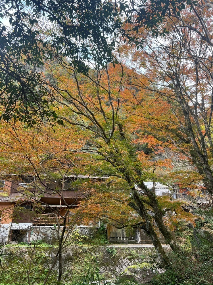 r_Rhapsodyさんが投稿した一目八景展望台に関する口コミの画像