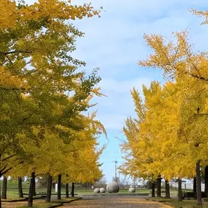 加須はなさき公園