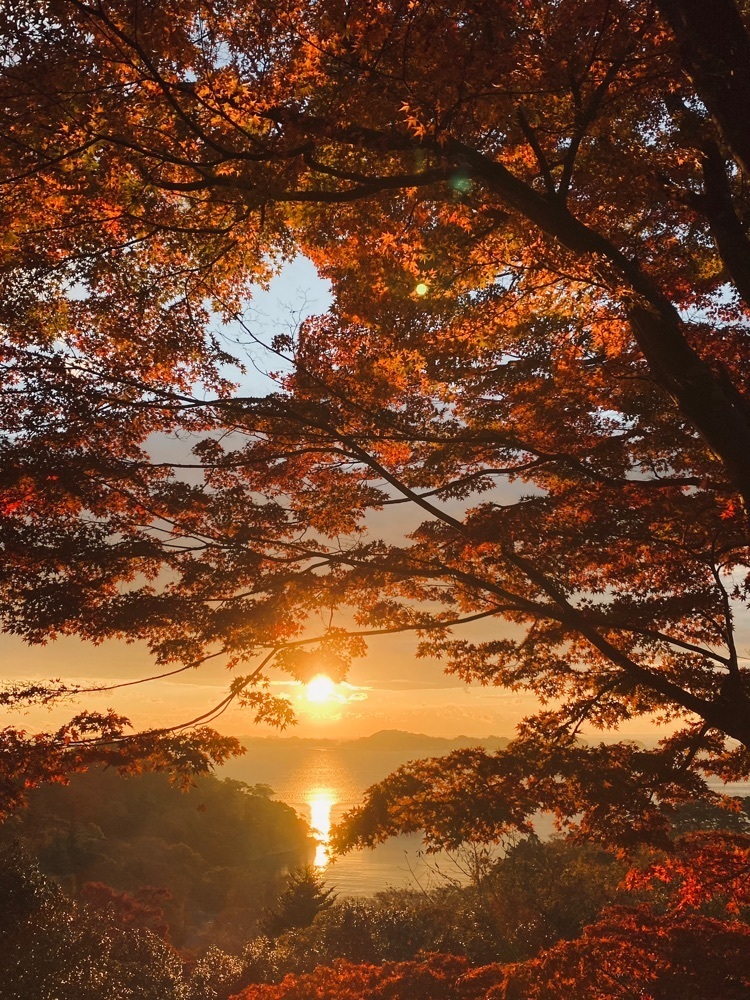 Musashiさんが投稿した扇谷の紅葉に関する口コミの画像