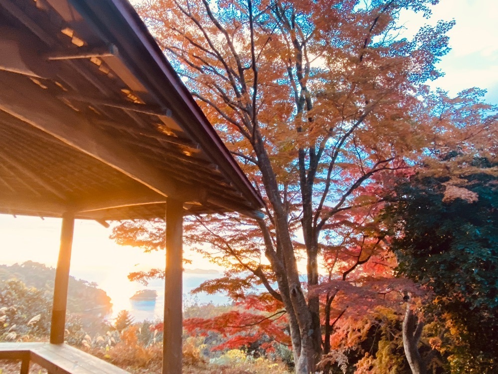 Musashiさんが投稿した扇谷の紅葉に関する口コミの画像