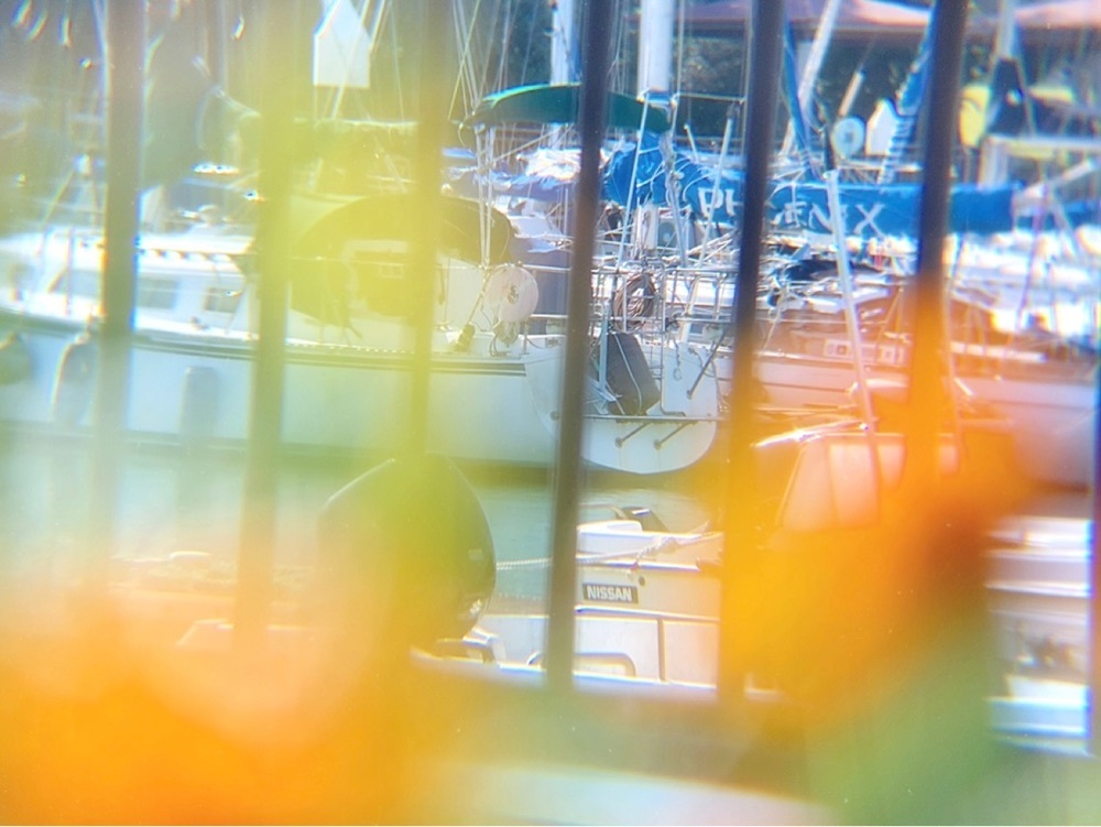 兎きちさんが投稿したみやざき臨海公園に関する口コミの画像