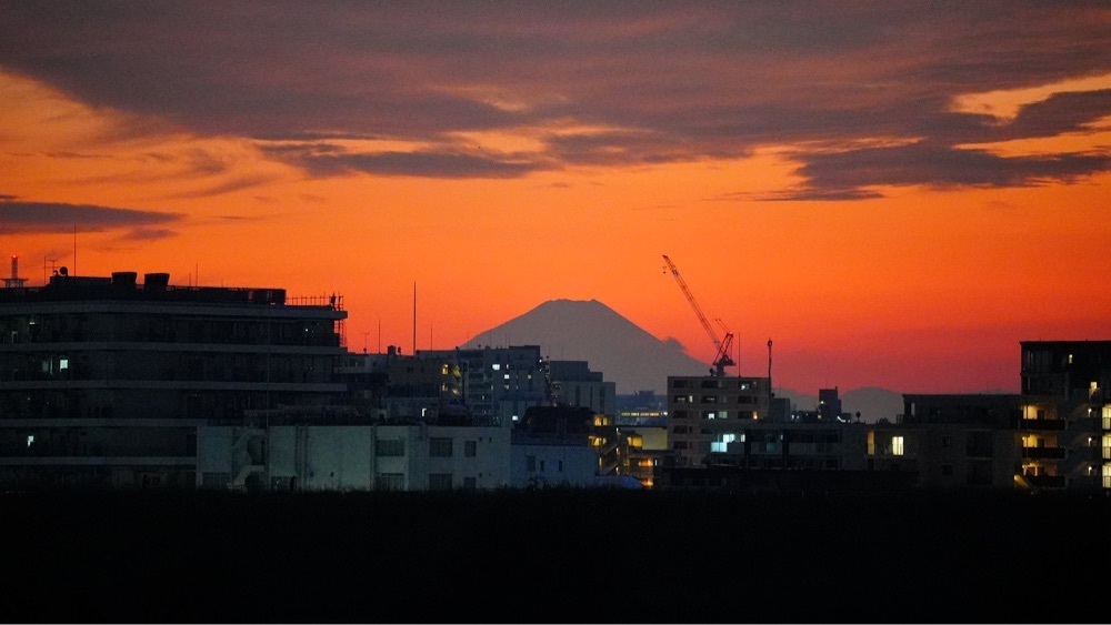 jamesさんが投稿した都市農業公園のチューリップに関する口コミの画像