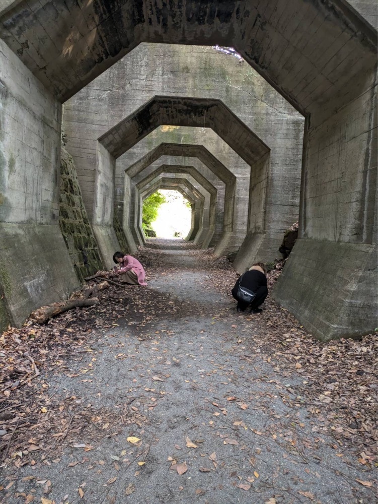 ぺたこ♡さんが投稿した八角トンネル（熊延鉄道遺構）に関する口コミの画像