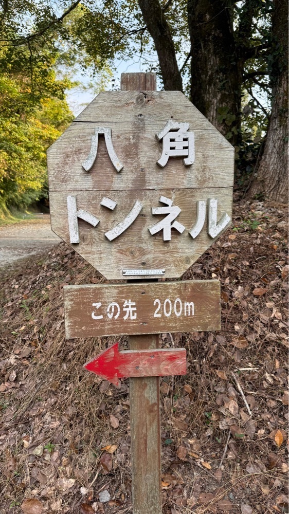 ぺたこ♡さんが投稿した八角トンネル（熊延鉄道遺構）に関する口コミの画像