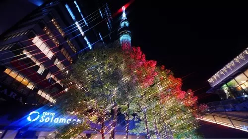東京スカイツリータウンの庭