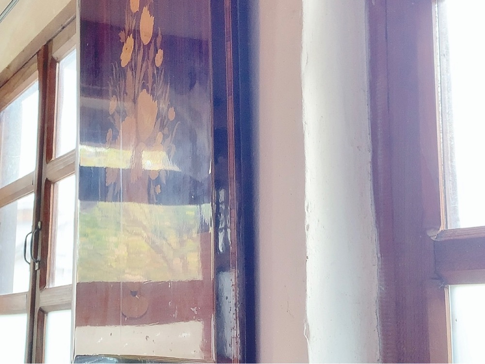 兎きちさんが投稿した綾町に関する口コミの画像