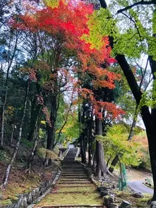湯の花温泉