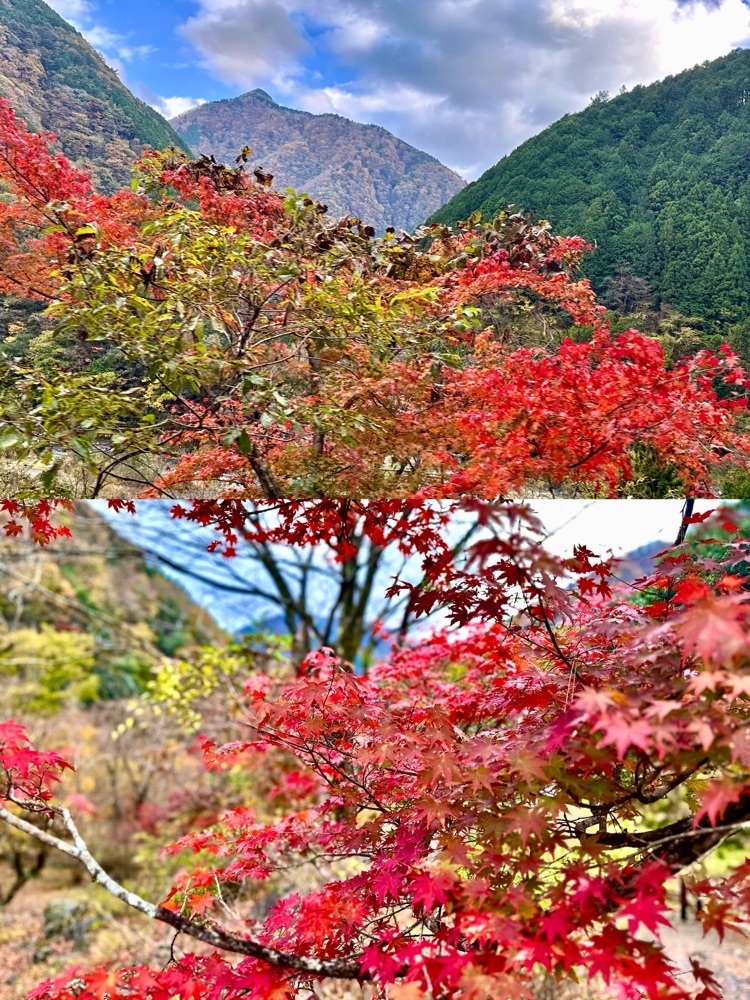 ともみんの大人旅さんが投稿したUMEGASHIMA DRIVE-IN&SAUNA VILLA（ウメガシマ ドライブ イン&サウナ ヴィラ）に関する口コミの画像
