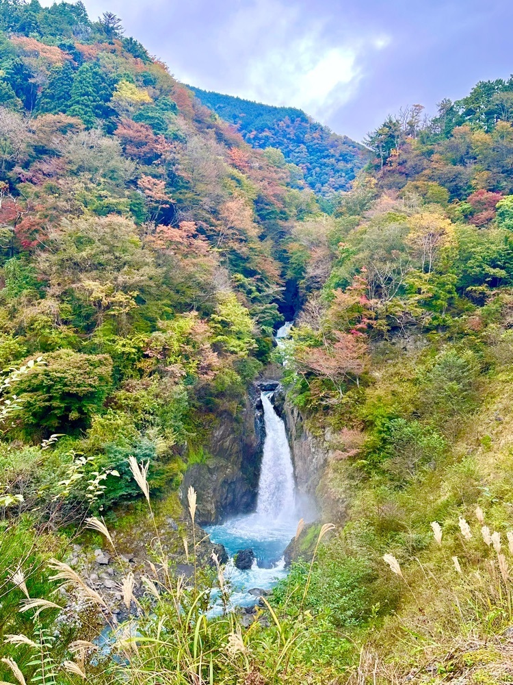 ともみんの大人旅さんが投稿したUMEGASHIMA DRIVE-IN&SAUNA VILLA（ウメガシマ ドライブ イン&サウナ ヴィラ）に関する口コミの画像