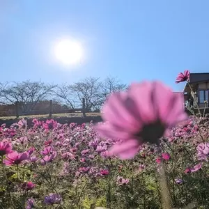 東松山市農林公園