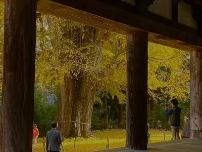 新宮熊野神社 長床