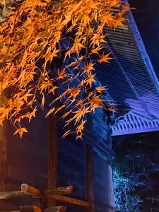 宝蔵寺（福島県南相馬市）