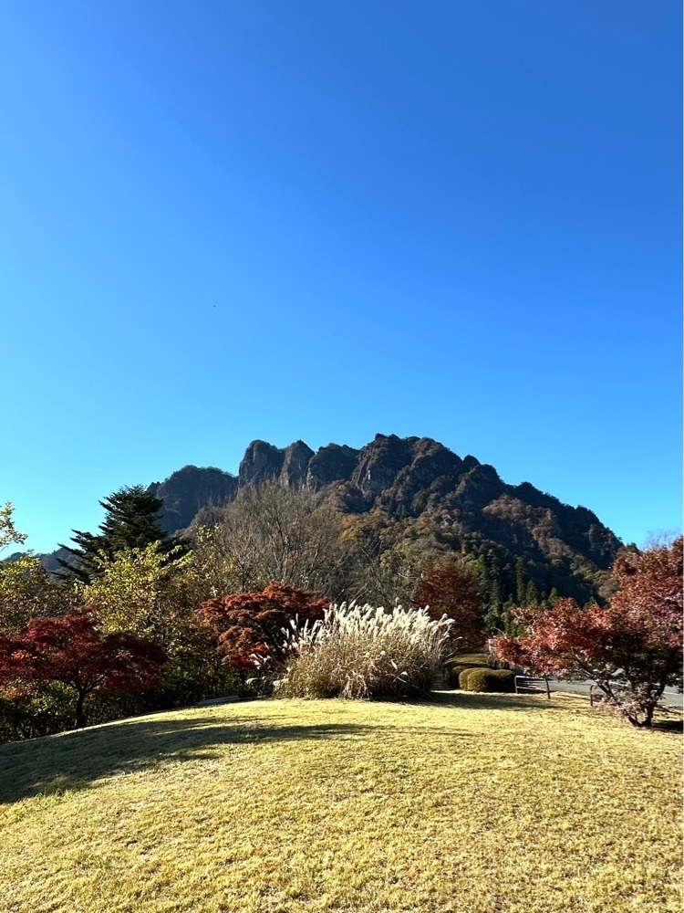 からっ風②さんが投稿した妙義ふれあいプラザ もみじの湯に関する口コミの画像