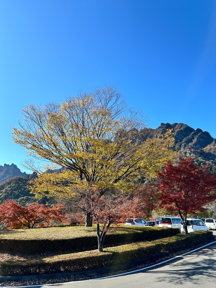 からっ風②さんが投稿した妙義ふれあいプラザ もみじの湯に関する口コミの画像