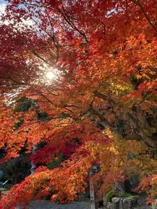 即成院