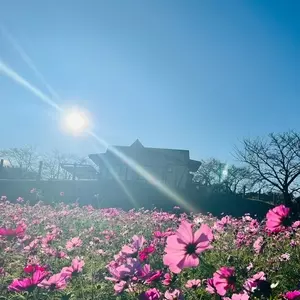 東松山市農林公園
