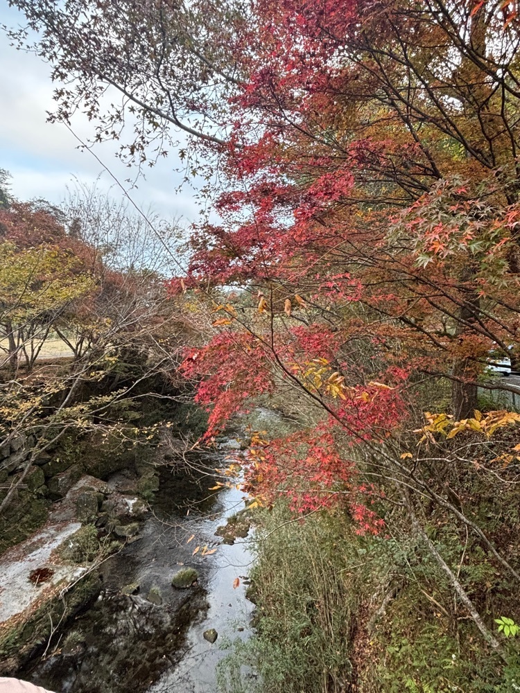 luckyさんが投稿した一目八景(ひとめはっけい)に関する口コミの画像