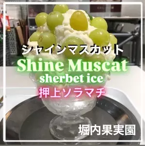 堀内果実園 ソラマチ店