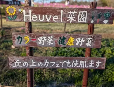 丘の上のカフェ～Heuvel～（フーヴェル）