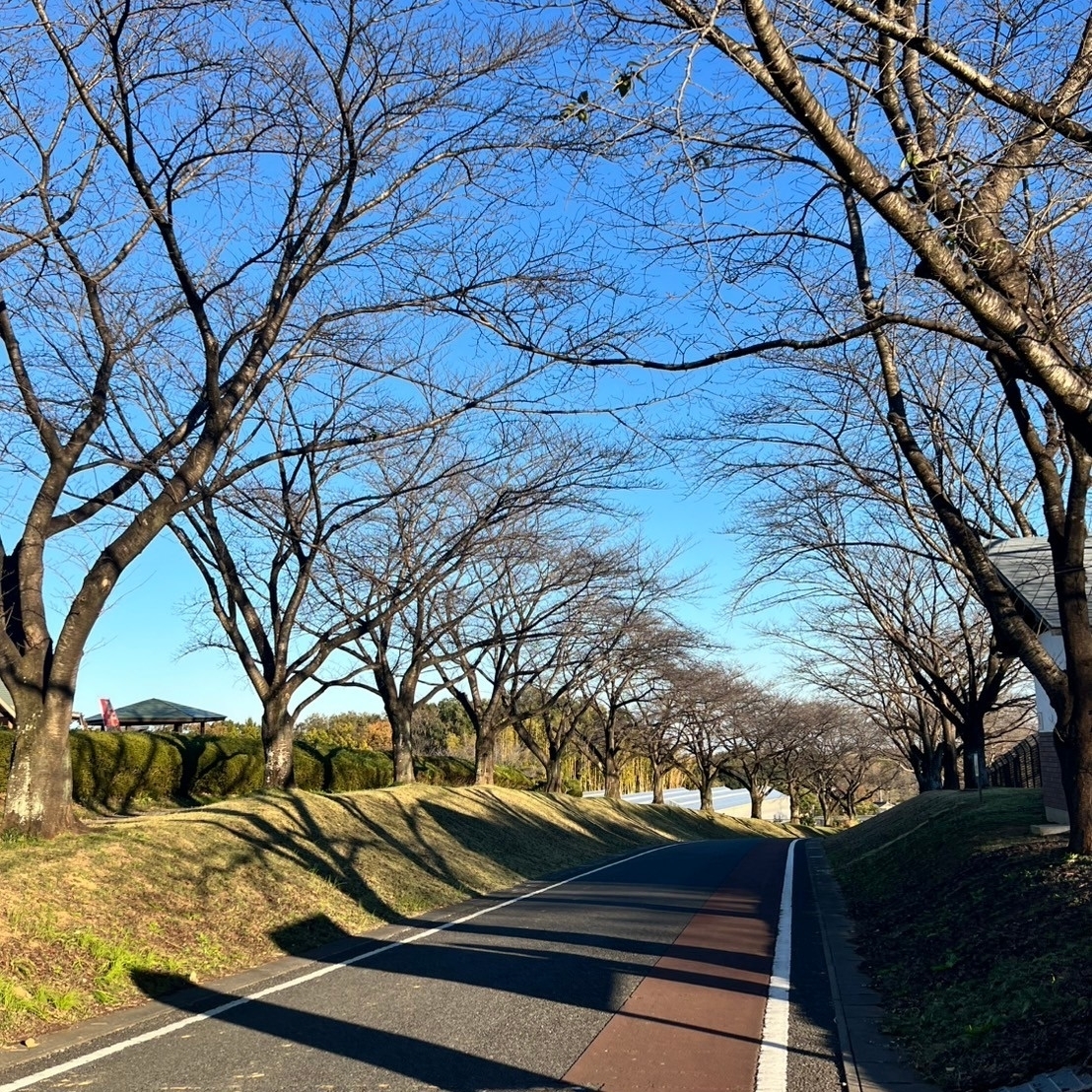 Pさんが投稿した丘の上のカフェ～Heuvel～（フーヴェル）に関する口コミの画像