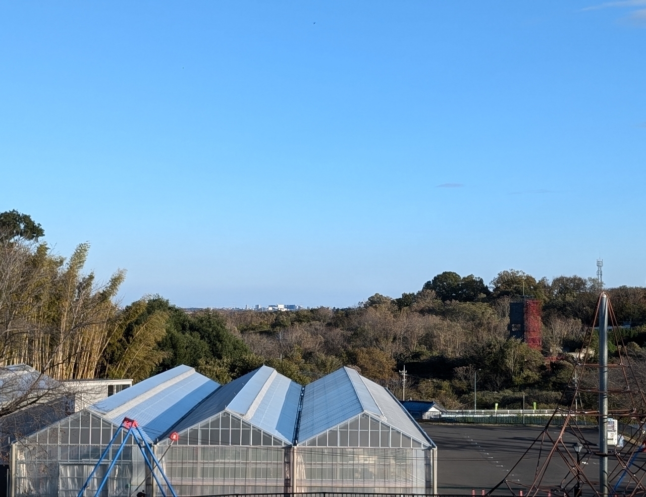 Pさんが投稿した丘の上のカフェ～Heuvel～（フーヴェル）に関する口コミの画像