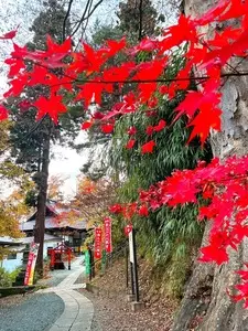 若松寺