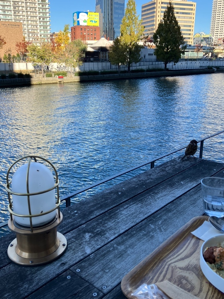 natural_city_d2e6さんが投稿したオプティマス カフェ（OPTIMUS cafe）に関する口コミの画像