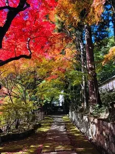 湯の花温泉