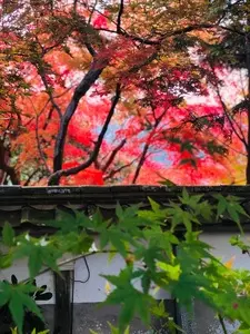 湯の花温泉