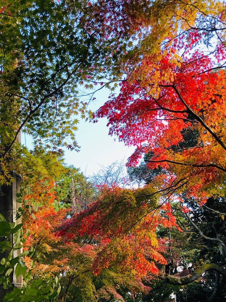 nicanさんが投稿した湯の花温泉に関する口コミの画像