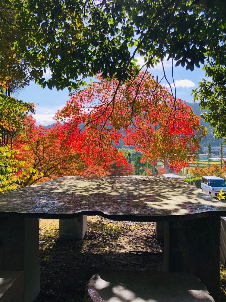 nicanさんが投稿した湯の花温泉に関する口コミの画像
