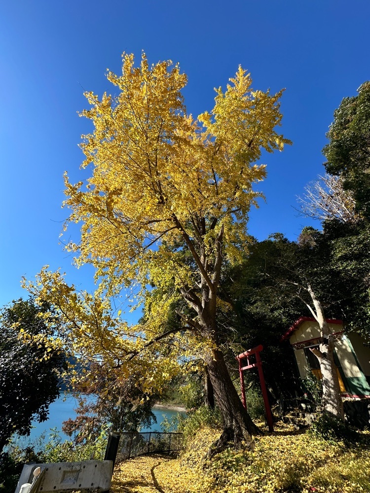 からっ風②さんが投稿した神流湖（群馬県藤岡市）に関する口コミの画像
