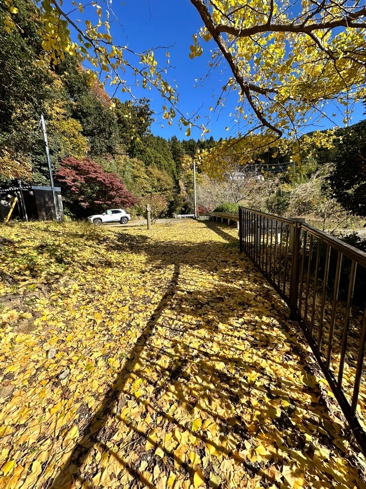 からっ風②さんが投稿した神流湖（群馬県藤岡市）に関する口コミの画像