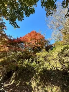 城峯公園