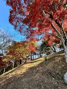 道の駅 甘楽