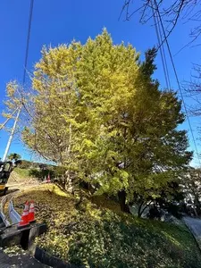 道の駅 甘楽