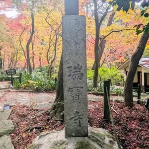 瑞宝寺公園
