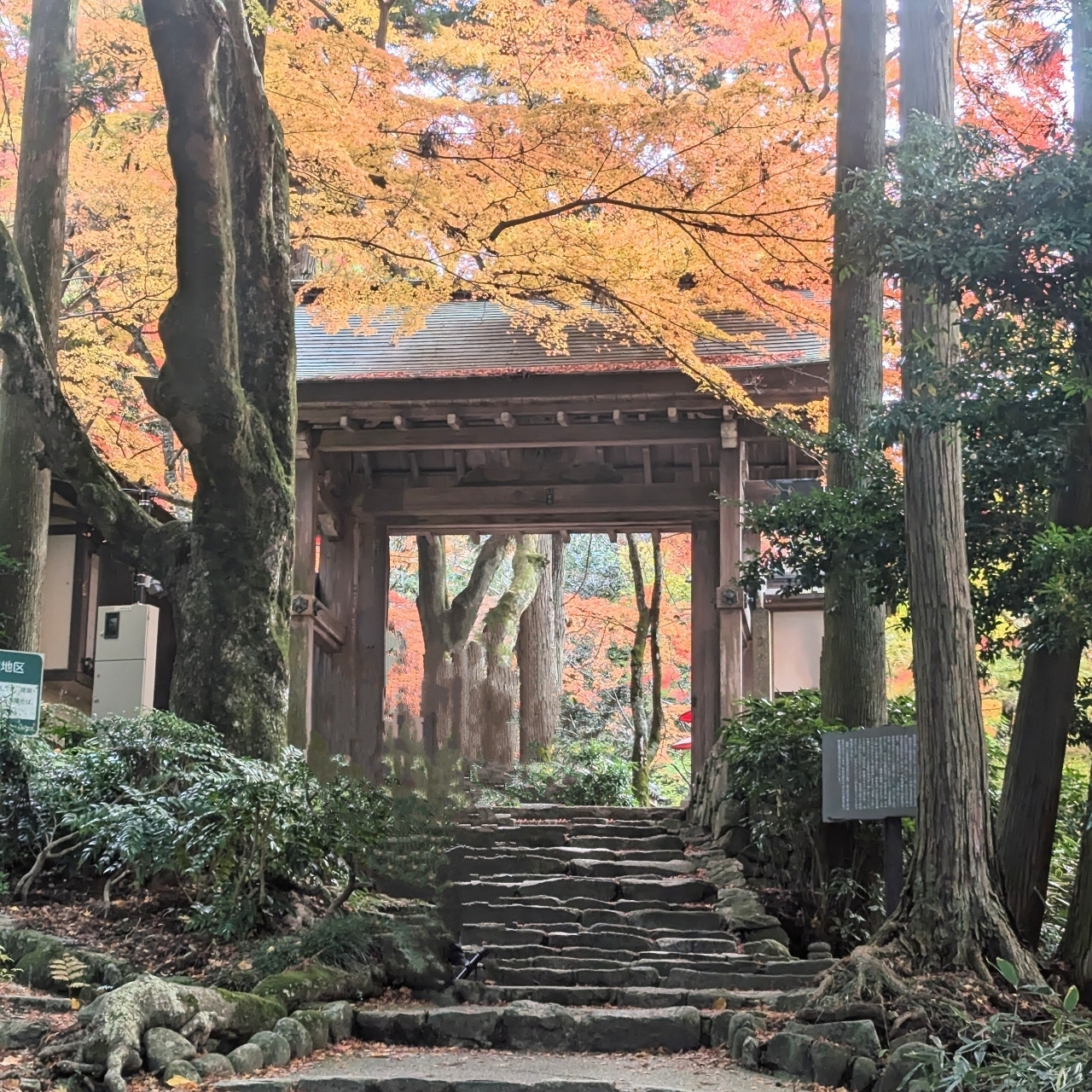 alpha4201さんが投稿した瑞宝寺公園に関する口コミの画像