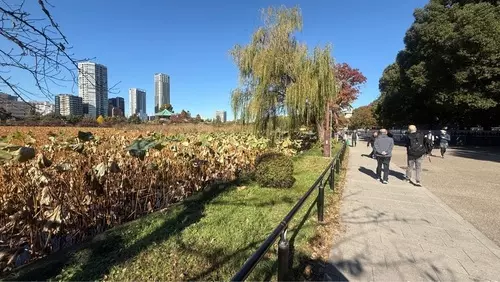 目利きの銀次 水道橋西口駅前店