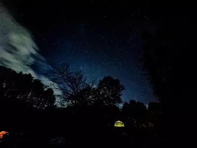 星の降る森 3枚目