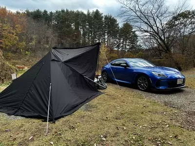 星の降る森 2枚目