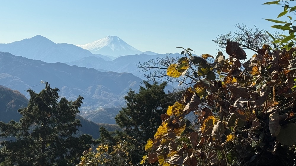 たか富山人さんが投稿した玉屋KITCHENに関する口コミの画像